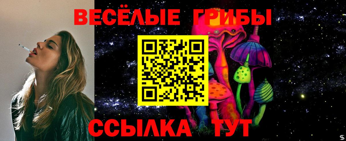 Псилоцибиновые грибы мухоморы Знаменск